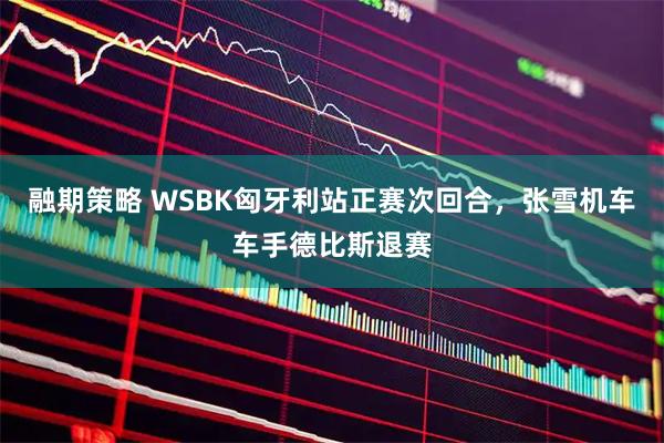 融期策略 WSBK匈牙利站正赛次回合，张雪机车车手德比斯退赛